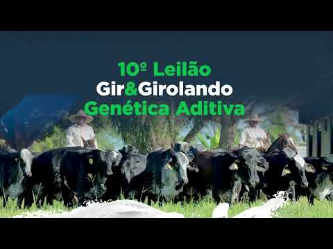 10º LEILÃO GIR E GIROLANDO GENÉTICA ADITIVA