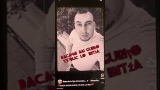 Formatia Tricolor Madrid Cover Te Duc La Ibiza  