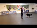 Dogdance  with jessy