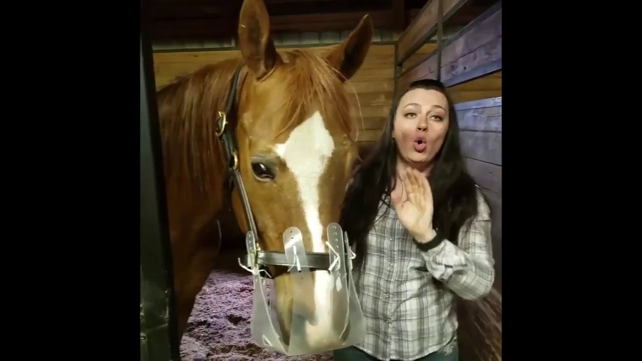 thinline global grazing muzzle