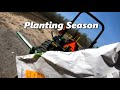 Planting Sweet Corn, Peanuts, and the Garden Vegetables