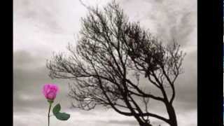 Yedinci Cadde Bedirhan GÖKÇE