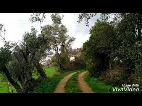 Ferman Akdeniz garip kalbim Yeni kader 2019