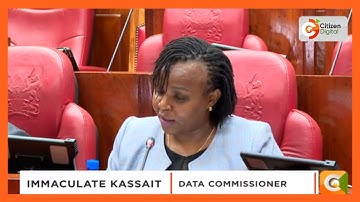MPs grill Data Commissioner Immaculate Kassait on the operation of Worldcoin in Kenya