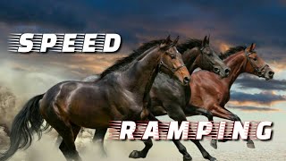 Speed Ramping Edit | Kinemaster Tutorial.