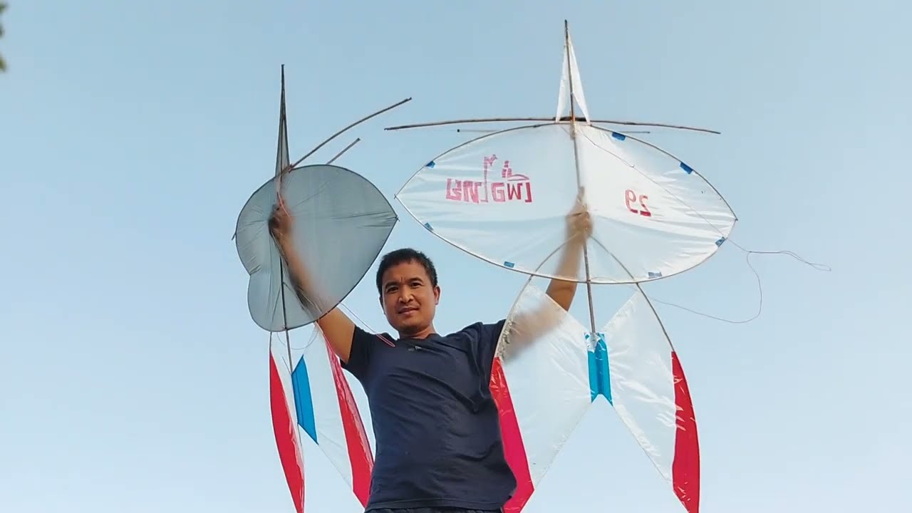 ปล่อยว่าวจุฬา2ตัวพร้อมกันลมนรกแตกสนูลั่นทุ่งประเทศเกาหลีใต้ 