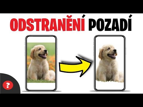 Video: Jak odstranit trn: 14 kroků (s obrázky)