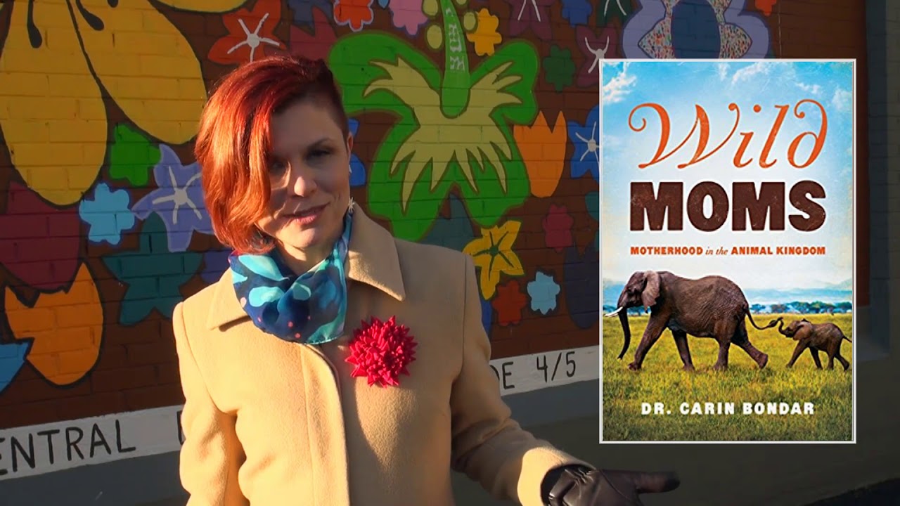 TEDxChilliwack 2018 Interview with Dr. Carin Bondar