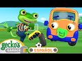 Todos vamos a jugar fútbol | 🐸 Garaje de Gecko | Carros para niños | Vídeos educativos