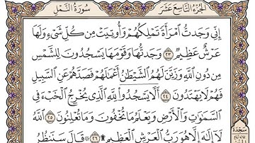 سورة النمل من الآية 20 الى الآية 26