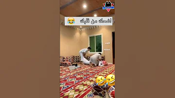 مقطع كوميدي يموت ضحك مواقف مضحكة مقاطع مضحكة فيديوهات مضحكة دموع الكوميديا 