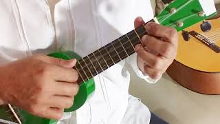 Video thumbnail of "Indonesia Raya - WR Supratman | Ukulele Fingerstyle Cover"