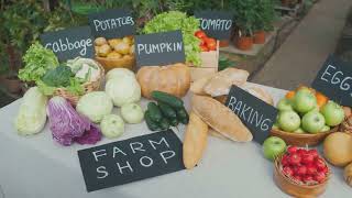 Baltimore Unveiled  Hidden Gems & Local