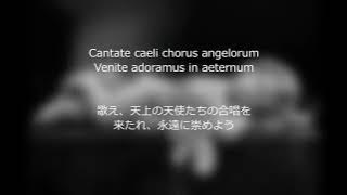 LIBERA（リベラ） - Angel（天使のくれた奇跡）2017　歌詞　対訳