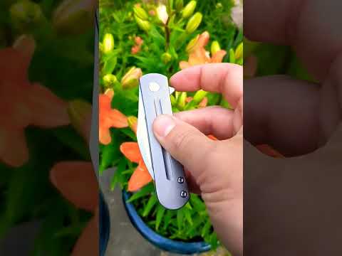 Monterrey Bay Knives Slayback in XDP-189 with Day Lillie