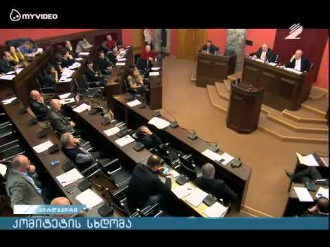 პაატა კვიჟინაძის გამოსვლა \'დარგობრივი ეკონომიკისა და ეკონომიკური პოლიტიკის კომიტეტის\' სხდომაზე