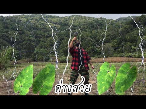 ผลสลากกินแบ่งรัฐบาล วันที่ 1 พย. 2567 ผลสลากกินแบ่งรัฐบาล วันที่ 1 พย. 2567