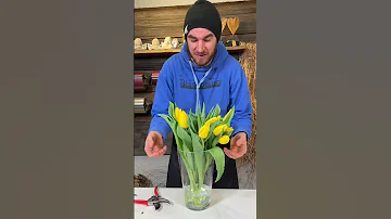 Wie halten sich Tulpen in der Vase?