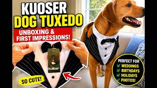 **I Bought My Dog a Tuxedo... Was It Worth It 🐶🤵 First Look!**