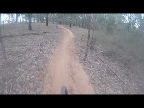 My Riding with multiple sclerosis/Glenmore park mtb mountain biking 29 specialized stumpjumper @Troydigga