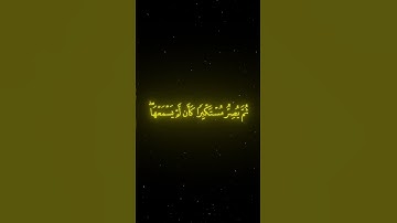 ما تيسر من سورة الجاثية بصوت ياسر الدوسرى #لايك #اكسبلور #حالات_واتس #الدوسري_مؤثر #دويتو #duet