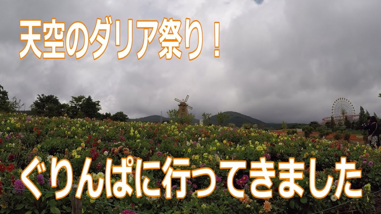 天空のダリア祭り ぐりんぱ に行ってきました Youtube