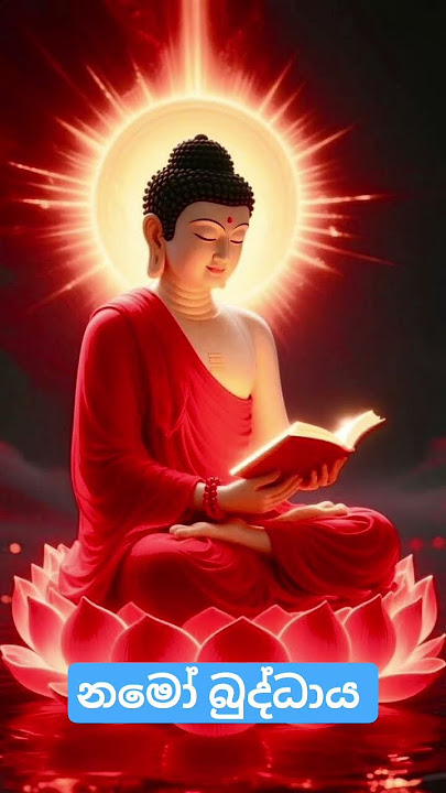 Download lagu සියළු සත්වයෝ සුවපත් වෙත්වා..🙏🪷🙏 #lordbuddha #namobuddhay #buddha