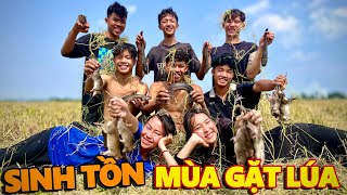 Anh Thời Đại | Bắt Chuột Mùa Gặt Lúa - 1 Ngày Ngoài Đồng