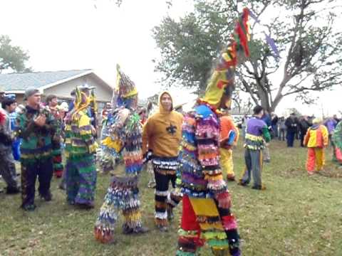 mardi gras chicken chase mardi gras chicken chase