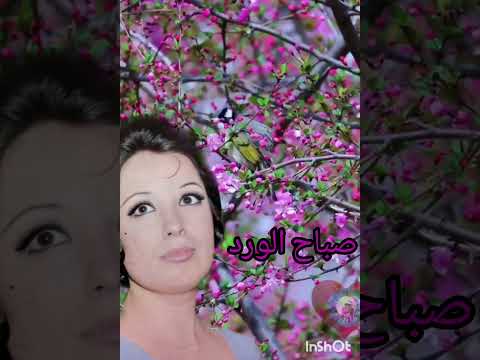 نجاة الصغيره يا حبيبي مين انا