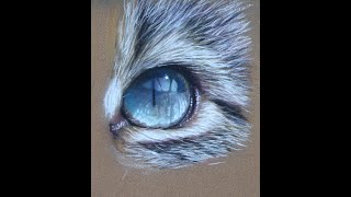 Artwork in pastel #painting #paintingtutorial #pastel