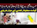 Why is cleaning the fridge before Eid ul Adha important? Effective ways to preserve meat