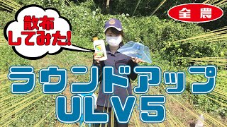 噂のラウンドアップULV５を使って散布してみました！