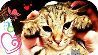 Урок 8 в Highlights * Письмо от подписчицы * Алмазная вышивка Урок 8 в Highlights * Письмо от подписчицы * Алмазная вышивка
