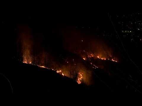 Video: Zašto Se Događaju šumski Požari