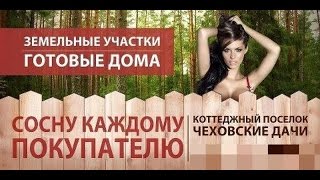 Продавцы-приколисты. Юмор и креатив, как двигатель торговли.