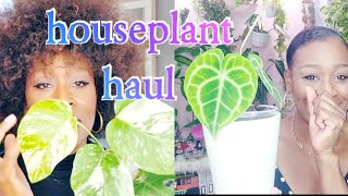 Amazing Houseplant Haul #HomeDepot #FB #Aldi