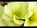 こころ(piano)/ 小田和正