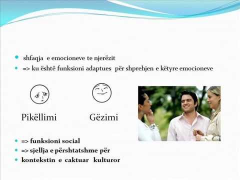 Video: Psikologji Sistem-vektor Dhe Udhëzim Profesional