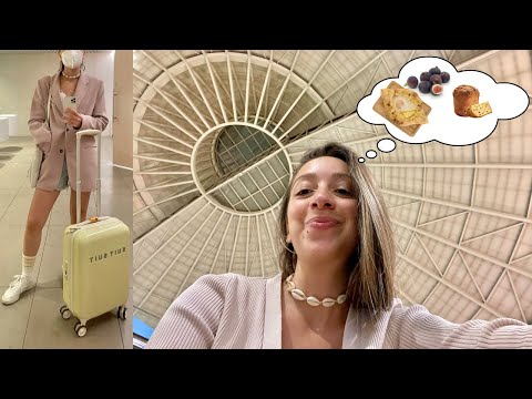 მგზავრის ვლოგები