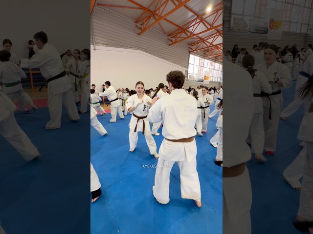 Cristian Boldut Fight Camp 2026 #kyokushin #shinkyokushin #karate #1kyokushin #一極真 #極真会館