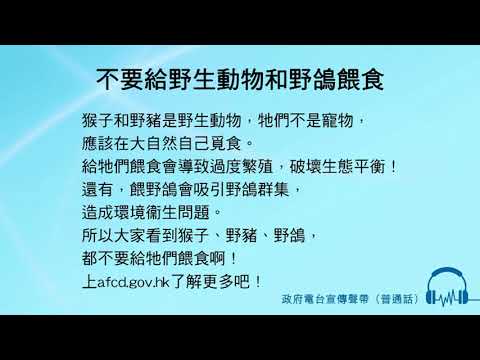 不要給野生動物和野鴿餵食