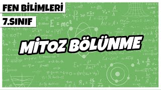 7 Sınıf Fen Bilimleri - Mitoz Bölünme 2022