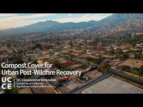 Compost Cover for Urban Post-Wildfire Recovery