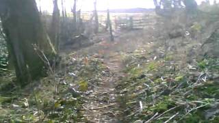 SUNP0001.AVI
