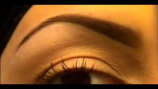 how to define your eyebrows tutorial part 2