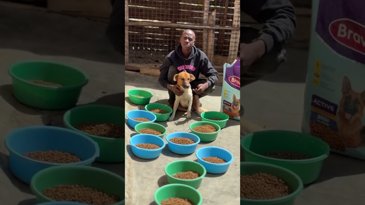 Please help us give them the second chance they deserve. Every bit of support means the world.