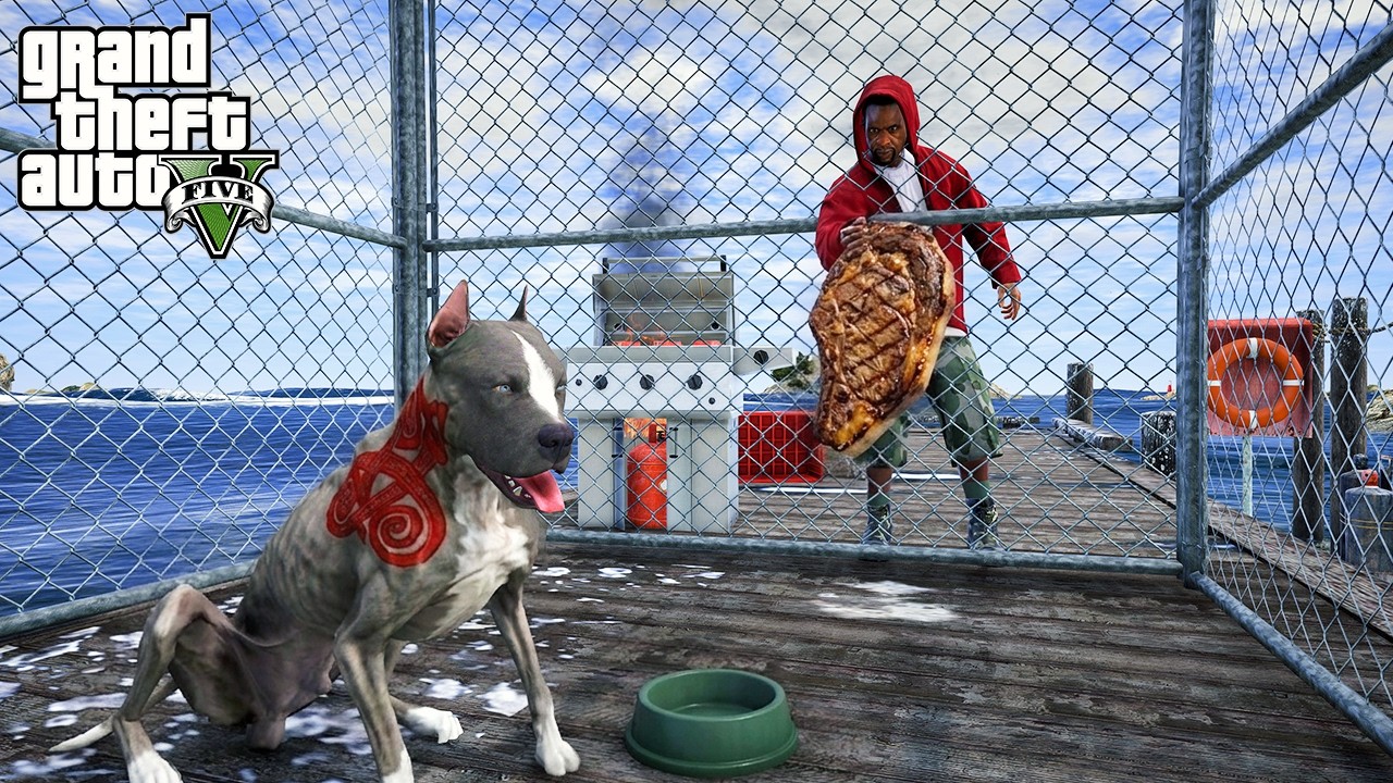 KÖTÜ SAHİP TERMİNATÖR'Ü AÇ BIRAKIYOR! KEMİKLERİ SAYILIYOR! - GTA 5 PİTBULL'UN HAYATI