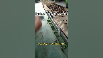 How to Shell Cashew Nuts Efficiently with The Cashew Shelling Machine