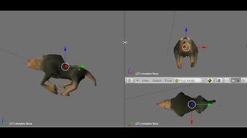 Wolf - Blender Capture